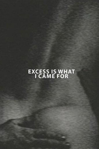 Excess Is What I Came For (1994) poster