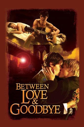 Between Love & Goodbye (2009) poster