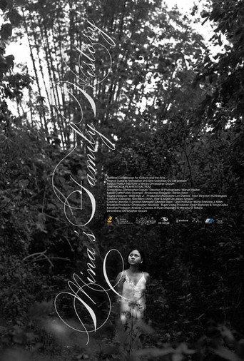 Mina's Family History (2021) poster