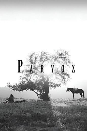 Parvoz (2023) poster