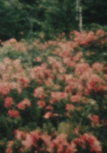 From the Window (1974) poster
