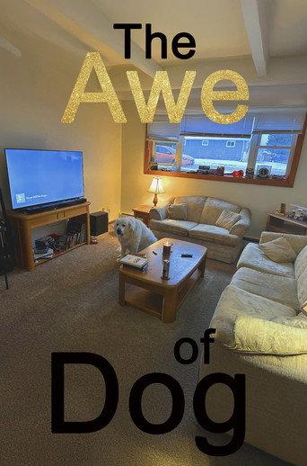 The Awe of Dog () poster