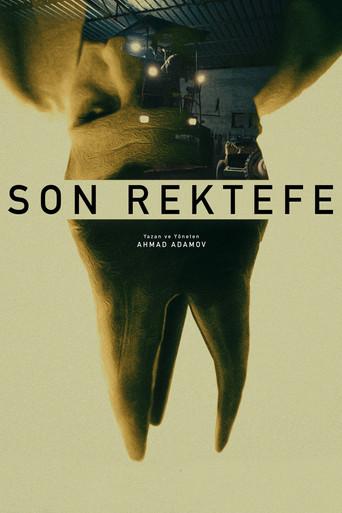 Final Repair () poster