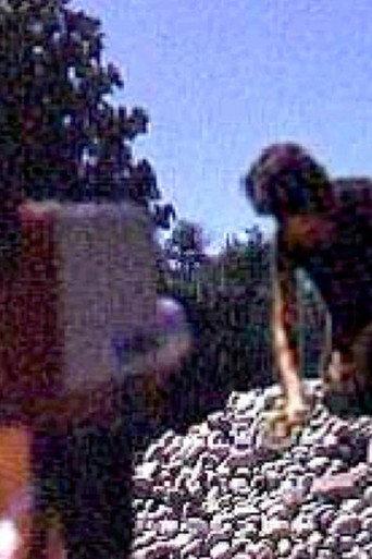Rock Garden (1976) poster