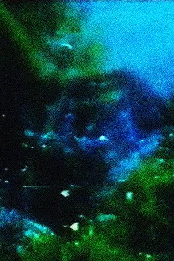 Earthen Aerie (1995) poster