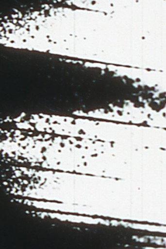 Starlings (1991) poster