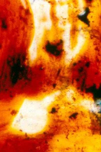 Panels for the Walls of Heaven (2002) poster