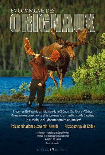 En compagnie des orignaux (1993) poster
