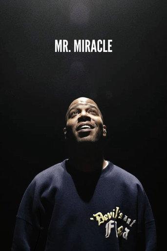 Mr. Miracle (2025) poster