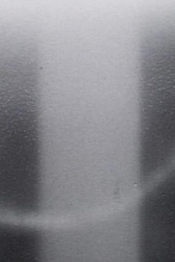 Light Licks: I Saw the Light Praise the Dark (2000) poster
