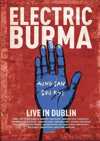 Electric Burma: The Concert for Aung San Suu Kyi - Words I Never Said (2016) poster
