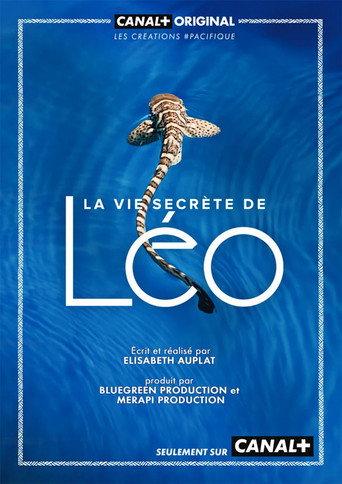 La Vie secrète de Léo () poster