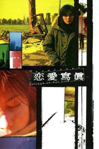 Collage of Our Lives (2003) poster