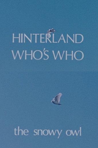 Hinterland Who's Who: The Snowy Owl (1973) poster