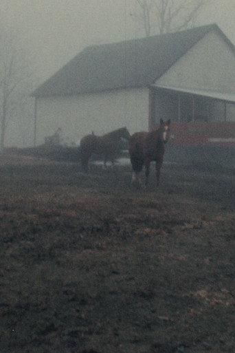 Horseflesh (1975) poster