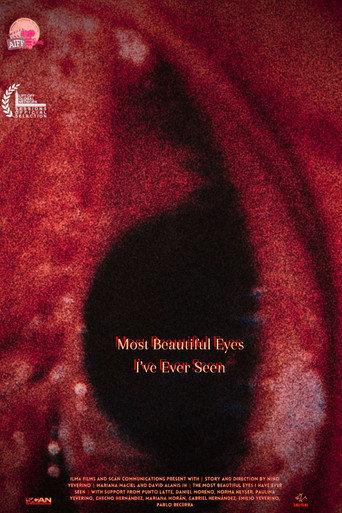 Most Beautiful Eyes I've Ever Seen (2024) poster