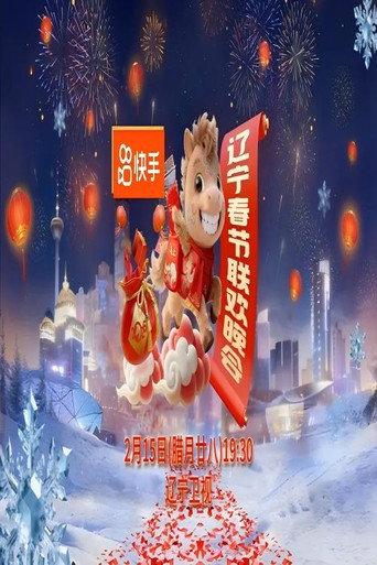 2026年辽宁卫视春节联欢晚会 (2026) poster