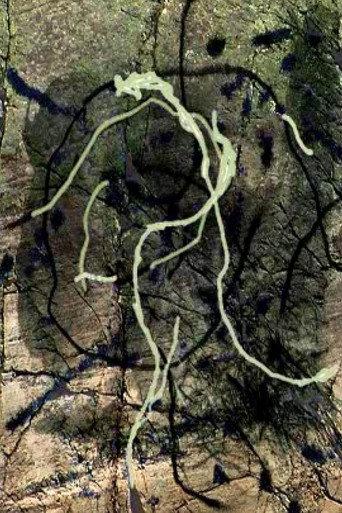 Thunder River (2011) poster