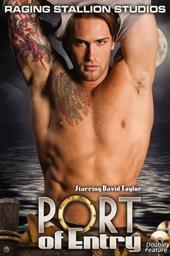 Port of Entry (2009) poster
