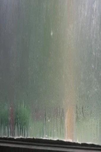 Fogged Windows (2013) poster