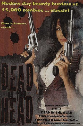 Dead in the Head () poster