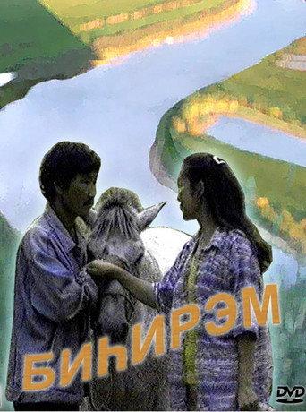 Matchmaking (1997) poster