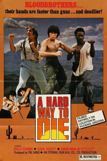 Sun Dragon (1979) poster