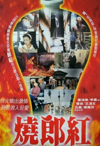 Story of Langhong (1992) poster