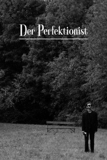 The Perfectionist () poster