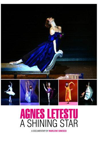 Agnès Letestu: A Shining Star (2014) poster