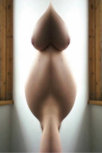 Pregnant Pussy Mash Up (2013) poster