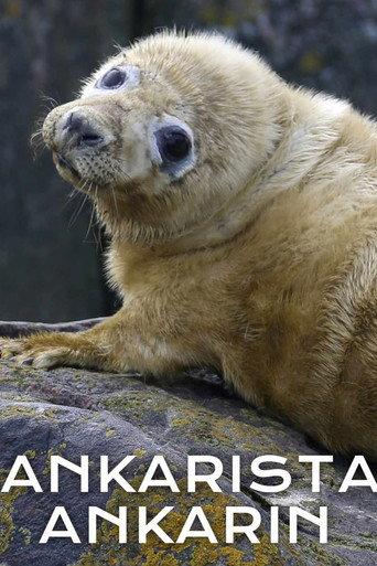 Ankarista ankarin (2024) poster