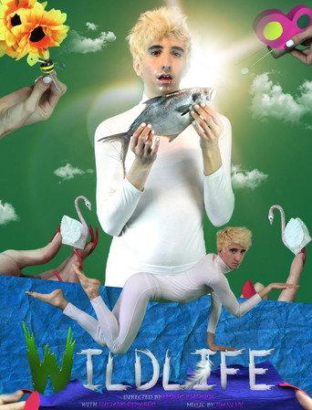 Wildlife () poster