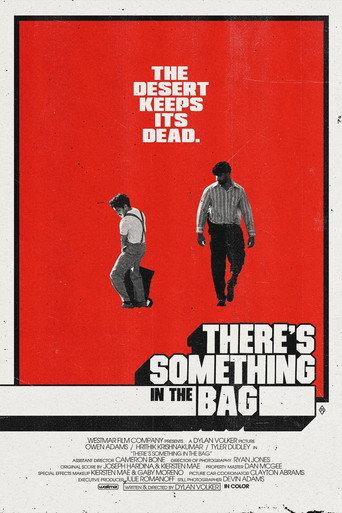 There's Something in the Bag (2026) poster