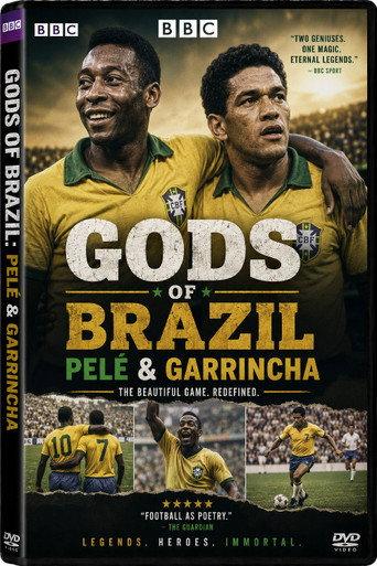 Gods of Brazil: Pelé & Garrincha (2002) poster