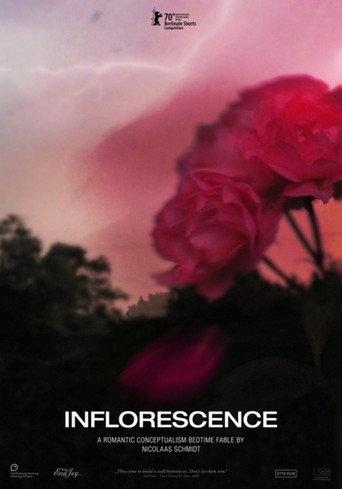 Inflorescence (2020) poster