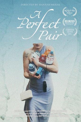 A Perfect Pair (2026) poster