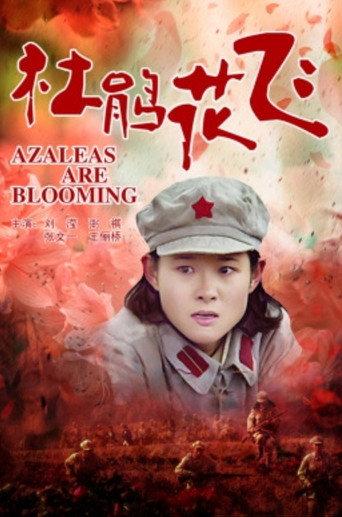 杜鹃花飞 (2011) poster
