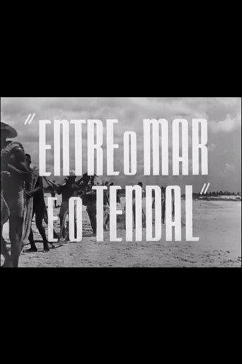 Between the Sea and the Fish Line (1953) poster