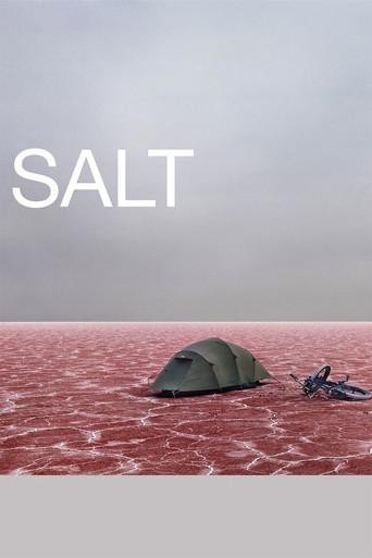 Salt (2009) poster