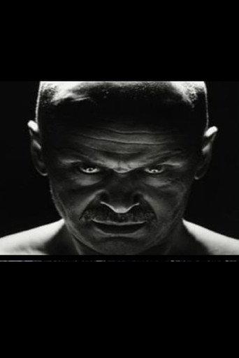 Turkan lapset (1994) poster