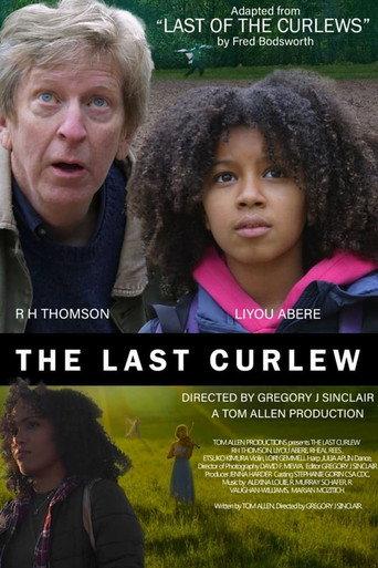 The Last Curlew (2023) poster
