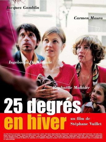 25 Degrees in Winter (2004) poster
