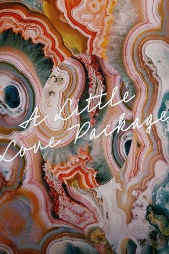 A Little Love Package (2022) poster
