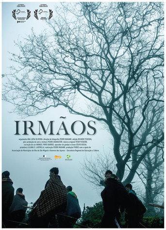 Irmãos (2015) poster