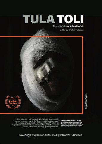 Testimonies of a Massacre: Tula Toli () poster
