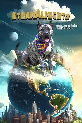 Ethan Almighty – Ethan’s Law () poster
