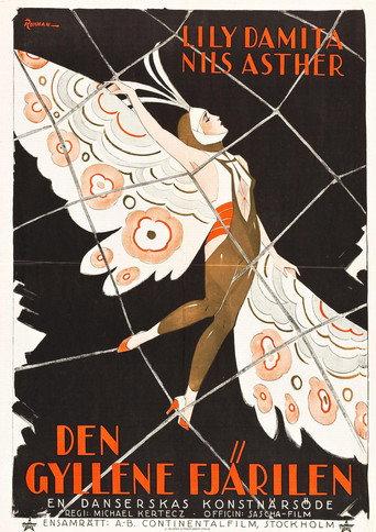 The Golden Butterfly (1926) poster