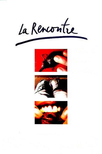 The Encounter (1996) poster