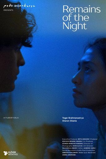 Remains of the Night () poster